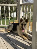 processed/67bb9928-4a5c-4ea9-9823-a514f54c1a93/listing/52289090-f0da-4aad-9b93-75c8cfe9f351/3abbfffb-19fc-4c9a-bbb6-ae08da327282