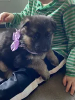 processed/67bb9928-4a5c-4ea9-9823-a514f54c1a93/listing/52289090-f0da-4aad-9b93-75c8cfe9f351/4d7e467b-3fd7-4a2c-85cc-54f194aec658