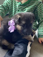 processed/67bb9928-4a5c-4ea9-9823-a514f54c1a93/listing/52289090-f0da-4aad-9b93-75c8cfe9f351/81d06648-cd6f-47c3-918c-30b546e4f907