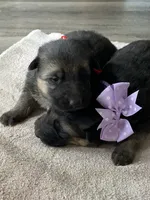 processed/67bb9928-4a5c-4ea9-9823-a514f54c1a93/listing/52289090-f0da-4aad-9b93-75c8cfe9f351/c3b2bdeb-43c3-426f-9eaa-570d4bd75b9f