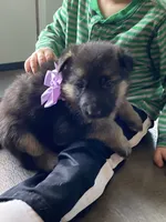 processed/67bb9928-4a5c-4ea9-9823-a514f54c1a93/listing/52289090-f0da-4aad-9b93-75c8cfe9f351/c9acac7b-cdcd-4e86-b073-04c387fdac71