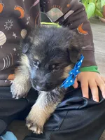 processed/67bb9928-4a5c-4ea9-9823-a514f54c1a93/listing/a0e71c5e-0bbf-481a-9087-1faab190409a/48dad36b-2d99-4bfa-98e7-576caec1f3cd