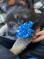 processed/67bb9928-4a5c-4ea9-9823-a514f54c1a93/listing/a0e71c5e-0bbf-481a-9087-1faab190409a/4f381fcd-9b3e-4a75-ba78-5db840c0a125