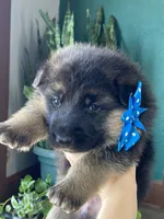 processed/67bb9928-4a5c-4ea9-9823-a514f54c1a93/listing/a0e71c5e-0bbf-481a-9087-1faab190409a/8ad029d8-d1cb-4d33-9453-167675c75a2e