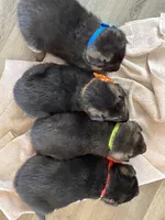 processed/67bb9928-4a5c-4ea9-9823-a514f54c1a93/listing/a0e71c5e-0bbf-481a-9087-1faab190409a/ca85c461-b14d-4a4b-8ebf-d593561016b6