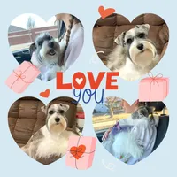 processed/67be2bcc-584e-42e5-bf2f-5b41ce809d20/facility/3e79b4c8-8f45-411b-89ce-e40cddcd7e01