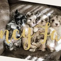 processed/67be2bcc-584e-42e5-bf2f-5b41ce809d20/facility/5a454109-30cd-4dd5-aa56-03c3f11bd77c