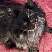 processed/67be2bcc-584e-42e5-bf2f-5b41ce809d20/facility/5c527c7d-b992-48d2-b944-7316f77a69ff