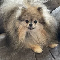 processed/67be2bcc-584e-42e5-bf2f-5b41ce809d20/facility/79bfbd24-325e-49f2-80a2-5163b85d32ba