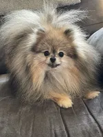 processed/67be2bcc-584e-42e5-bf2f-5b41ce809d20/facility/79bfbd24-325e-49f2-80a2-5163b85d32ba