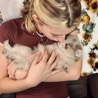 processed/67be2bcc-584e-42e5-bf2f-5b41ce809d20/facility/7b40e573-3490-49e0-878b-11f50bc1d9f2