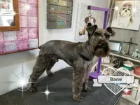 processed/67be2bcc-584e-42e5-bf2f-5b41ce809d20/facility/c091f5a6-13f7-440d-ae49-b0915854039f