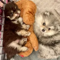 processed/67be2bcc-584e-42e5-bf2f-5b41ce809d20/facility/e23755f4-2069-45d8-90e8-1af789f7f522