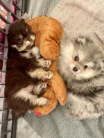 processed/67be2bcc-584e-42e5-bf2f-5b41ce809d20/facility/e23755f4-2069-45d8-90e8-1af789f7f522