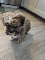 processed/67be4ce1-9856-4ab0-9a48-345168f86661/listing/2b9866ec-28a1-4788-9d29-2ad06f59f767/561616dc-8c5a-4862-8361-11bfa5d2c200