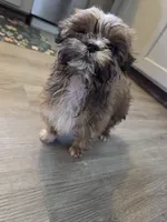 processed/67be4ce1-9856-4ab0-9a48-345168f86661/listing/2b9866ec-28a1-4788-9d29-2ad06f59f767/aa236cff-be58-4a63-84b5-86bbb4ed14c9