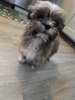 processed/67be4ce1-9856-4ab0-9a48-345168f86661/listing/2b9866ec-28a1-4788-9d29-2ad06f59f767/e87107fb-64df-4c9b-807c-73744f941945