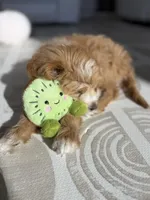 processed/67c12076-03a2-4ff5-971a-61389ec4468f/listing/5bd50e51-0ce8-4667-b6b7-54a32d98b14b/28bde789-8f30-45cb-b0a4-e6240c0d83e7