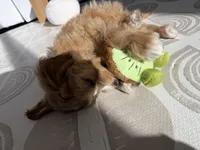 processed/67c12076-03a2-4ff5-971a-61389ec4468f/listing/5bd50e51-0ce8-4667-b6b7-54a32d98b14b/38ec762e-80aa-4a1c-99b1-f19d09108b6e