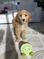 processed/67c12076-03a2-4ff5-971a-61389ec4468f/listing/5bd50e51-0ce8-4667-b6b7-54a32d98b14b/d99ceab0-cd31-4264-84d0-52ab2a6464fd