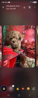 King, a female Maltipoo for sale in North Las Vegas, NV – 1 of 1
