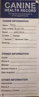 Toby, a male Mal Shi for sale in Durham, NC – 8 of 10