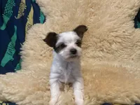 processed/67dd3e87-50fd-4b7b-bd31-8dcb8b932283/listing/36776916-a48c-4ac8-ab01-13d13beec8e7/1f0faef9-0cc9-45c8-b998-473e40cd55ea