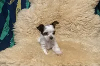 processed/67dd3e87-50fd-4b7b-bd31-8dcb8b932283/listing/36776916-a48c-4ac8-ab01-13d13beec8e7/aa33fc75-8d3b-4b79-89e6-4822d02eae29