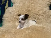 processed/67dd3e87-50fd-4b7b-bd31-8dcb8b932283/listing/36776916-a48c-4ac8-ab01-13d13beec8e7/b63518fc-a742-4e28-9d65-4e6929ec1cf0