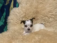 processed/67dd3e87-50fd-4b7b-bd31-8dcb8b932283/listing/36776916-a48c-4ac8-ab01-13d13beec8e7/d478e7ef-c4ea-46da-a8d3-4756b9417af6