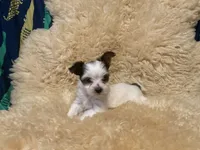 processed/67dd3e87-50fd-4b7b-bd31-8dcb8b932283/listing/36776916-a48c-4ac8-ab01-13d13beec8e7/e53fb590-4003-43cb-a3cd-ae8e285898a2