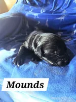 processed/67e22148-923b-497a-a192-77c09a78ea54/listing/0b149a29-77fd-4159-86c3-038e3a0c8926/c44047ae-7426-4282-b126-b88a1617fd67