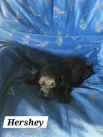 processed/67e22148-923b-497a-a192-77c09a78ea54/listing/3bc9b5e5-9f7e-46fb-854b-4a6217c66e6c/508654d1-719e-4344-9f07-5efafcbcdfba