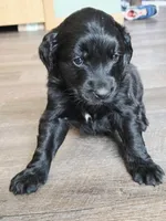 processed/67e22148-923b-497a-a192-77c09a78ea54/listing/3bc9b5e5-9f7e-46fb-854b-4a6217c66e6c/780c8a23-8de3-4a07-b8dd-b8d8eef4552c