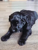 processed/67e22148-923b-497a-a192-77c09a78ea54/listing/3bc9b5e5-9f7e-46fb-854b-4a6217c66e6c/d6733894-2518-4df7-85ce-dada215aad60