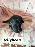 processed/67e22148-923b-497a-a192-77c09a78ea54/listing/6e245df2-b83b-4af7-a18d-15c1c4b07d5c/229ef09b-76c8-4e3a-aa5b-b9b74870ab5c