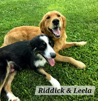 processed/67e22148-923b-497a-a192-77c09a78ea54/listing/6e245df2-b83b-4af7-a18d-15c1c4b07d5c/6722cea2-e46b-4bd2-b967-1e0df7daa9a2