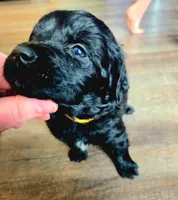 processed/67e22148-923b-497a-a192-77c09a78ea54/listing/6e245df2-b83b-4af7-a18d-15c1c4b07d5c/6b6d305a-3cff-46e8-a427-08014047cba7