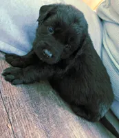 processed/67e22148-923b-497a-a192-77c09a78ea54/listing/6e245df2-b83b-4af7-a18d-15c1c4b07d5c/a46a272b-d466-4baf-a026-89615d08ddd9