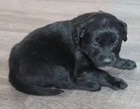 processed/67e22148-923b-497a-a192-77c09a78ea54/listing/72206c5d-567d-4367-a9eb-da01a2baee32/9f9a5af5-d904-4f2a-97df-b90ef5a7b348