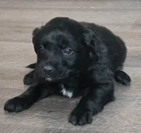 processed/67e22148-923b-497a-a192-77c09a78ea54/listing/72206c5d-567d-4367-a9eb-da01a2baee32/b29a058a-4d07-43ca-90a2-5db06a4f0dfa