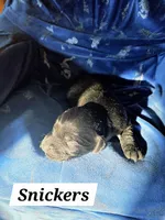 processed/67e22148-923b-497a-a192-77c09a78ea54/listing/72206c5d-567d-4367-a9eb-da01a2baee32/ce3d347e-a6fd-4c9a-83d4-f3c560268759