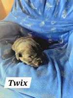 processed/67e22148-923b-497a-a192-77c09a78ea54/listing/a1d11806-115b-4c6b-a990-f0386e4bb43d/a4f62a64-c969-47d4-a9b3-503423705026