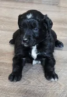 processed/67e22148-923b-497a-a192-77c09a78ea54/listing/d4b7c98e-9093-4874-b3f6-c5c9239ac773/4cf99766-a1d9-49a6-a2aa-a07bf5d55bce