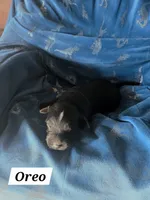 processed/67e22148-923b-497a-a192-77c09a78ea54/listing/d4b7c98e-9093-4874-b3f6-c5c9239ac773/76bad0f5-0c09-4c7e-a12c-a0adfb312003