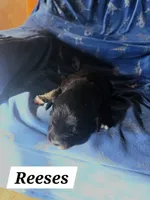 processed/67e22148-923b-497a-a192-77c09a78ea54/listing/e54b3c90-228d-4d70-a3d0-d2fa81c32796/52fd20de-7f56-48e4-bbd8-36106d861f6c