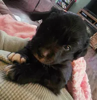 processed/67e22148-923b-497a-a192-77c09a78ea54/listing/e54b3c90-228d-4d70-a3d0-d2fa81c32796/698c463d-2d61-45a1-b5cc-8cbcae87d792