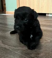 processed/67e22148-923b-497a-a192-77c09a78ea54/listing/ed4624e4-a351-4380-b5d8-8bcdf0482755/62ce60b2-0e3a-4afa-8034-1b80036fd416