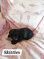 processed/67e22148-923b-497a-a192-77c09a78ea54/listing/ed4624e4-a351-4380-b5d8-8bcdf0482755/c6ce42e3-0291-498d-b866-76e2f65f6374