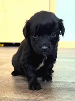 processed/67e22148-923b-497a-a192-77c09a78ea54/listing/ed4624e4-a351-4380-b5d8-8bcdf0482755/cd2a2b55-6683-4a79-93ab-4ab7da3464ca